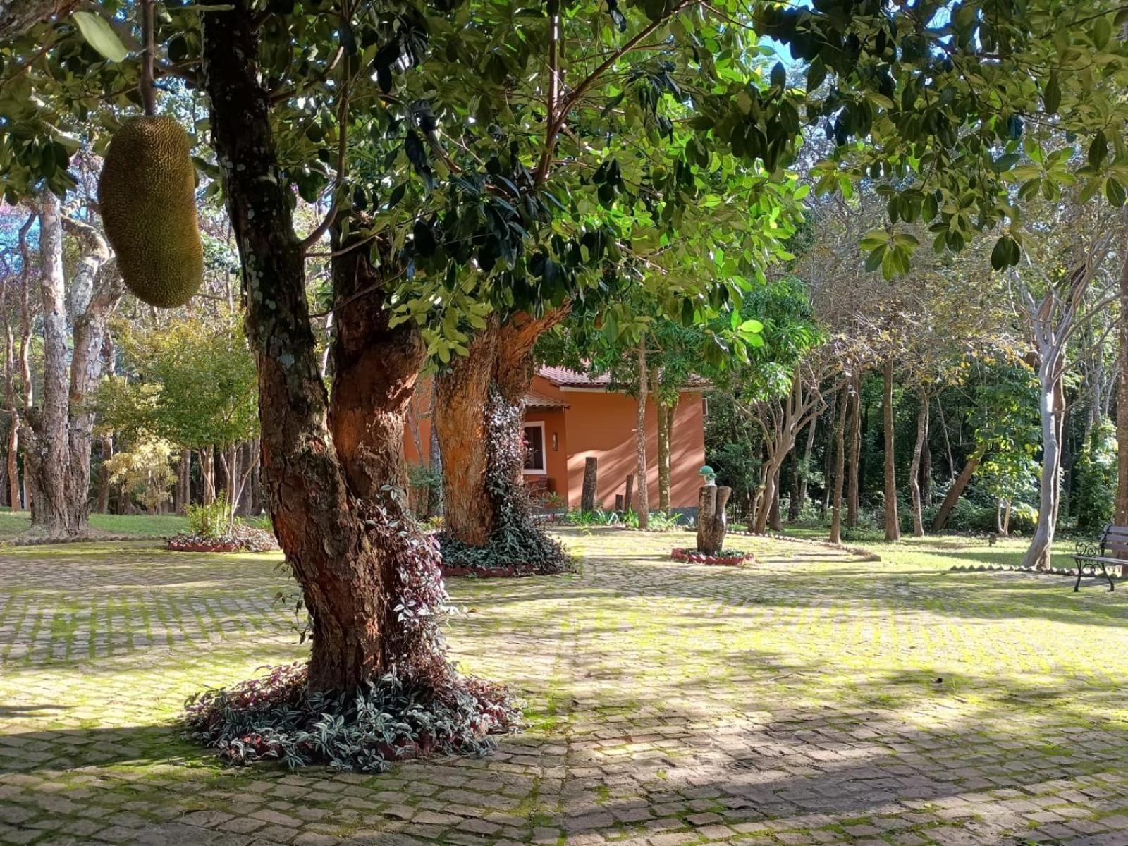 Villaflor Pousada วาเล ดู คาเปา ภายนอก รูปภาพ